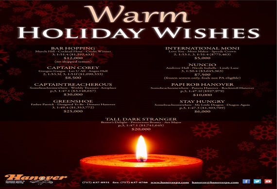 Warm Holiday Wishes